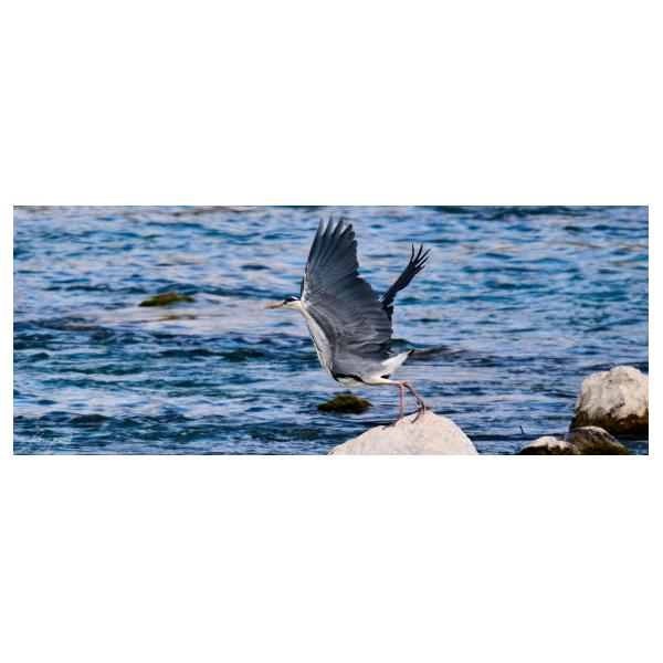 PHOTO84, CLUB, 84 , LUBERON